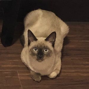 Meet your Posher, Casey